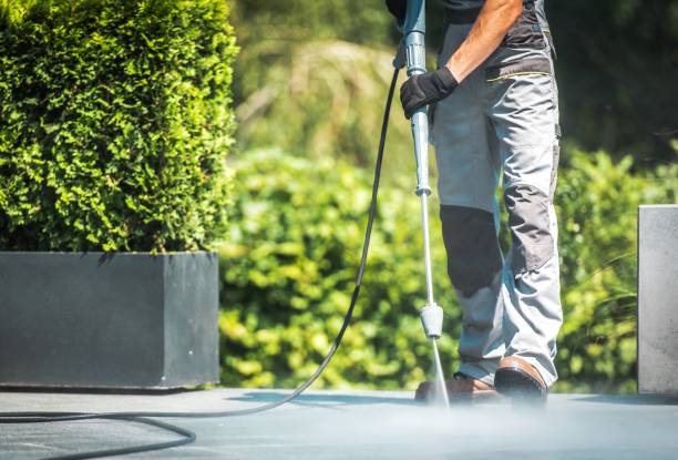 Best Pool Deck Cleaning in Sheffield, OH