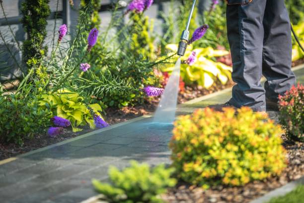 Best Commercial Pressure Washing in Sheffield, OH